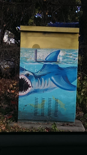 Shark Box - Stamford, CT.jpg