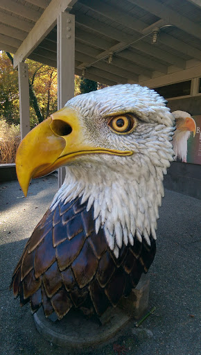 Eagle Statute - Richmond, VA.jpg