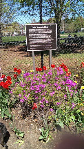 John Nunziato Field - Somerville, MA.jpg