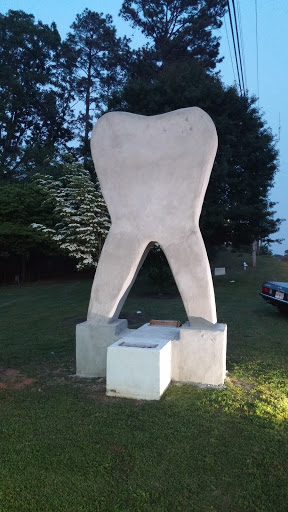 Tooth Of The Giant - Stockbridge, GA.jpg