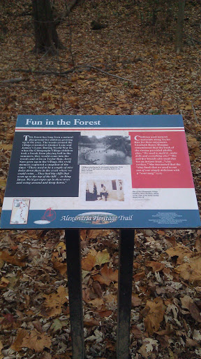 Fun in the Forest Command Sign - Alexandria, VA.jpg
