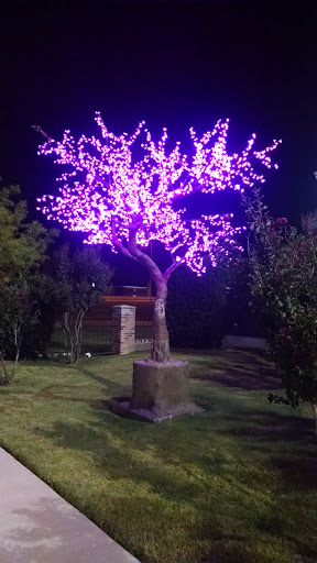 Cherry Blossom Statue - Richardson, TX.jpg