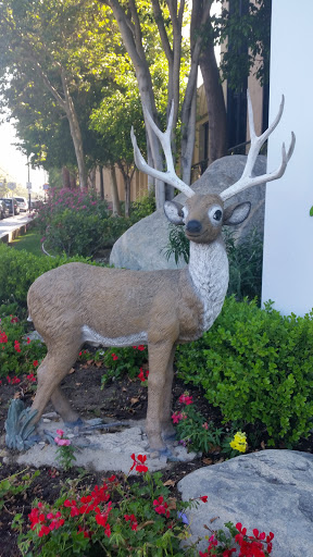 Deer Statues - Burbank, CA.jpg