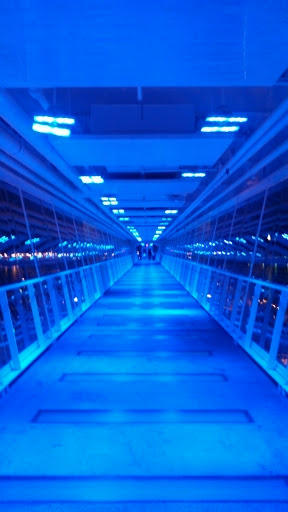 Skybridge - Davenport, IA.jpg