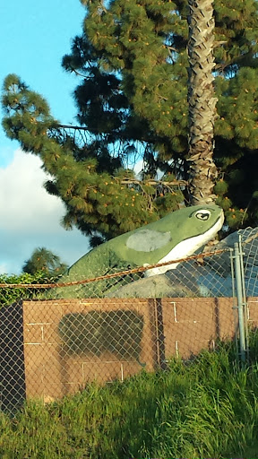 Frog Rock - Vista, CA.jpg