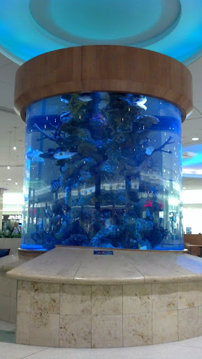 Orlando Airport Aquarium - Orlando, FL.jpg