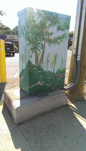 Electric Box Art - Stamford, CT.jpg