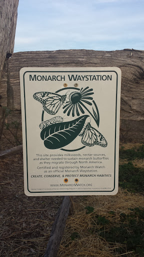 Evansville Monarch Way Station - Evansville, IN.jpg