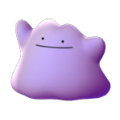 Ditto