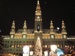 Rathaus Wien - Wien, Wien.jpg