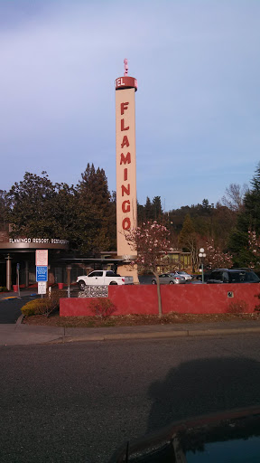 Flamingo Hotel - Santa Rosa, CA.jpg