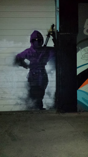 Ninja Mural - Chicago, IL.jpg