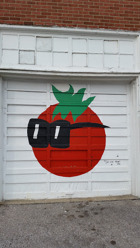 Tomato with Shades - Indianapolis, IN.jpg