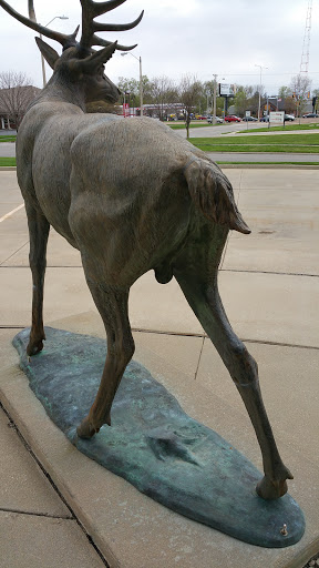 Bronze Stag - Springfield, IL.jpg