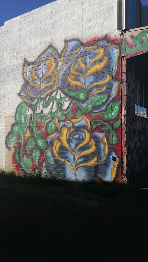 Flowery Graffiti - Chandler, AZ.jpg