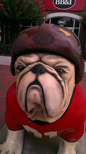 Footballer Bulldog - Athens, GA.jpg