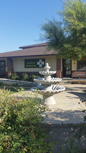 Sunnymead Animal Hospital Fountain Moreno Valley%2C CA