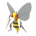 Beedrill1.png