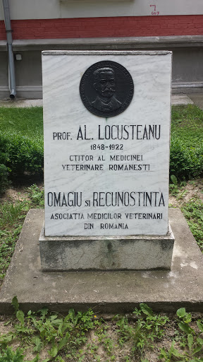 Alexandru Locusteanu - București, Municipiul București.jpg