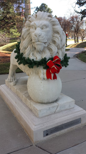 Medici Lion - Greenwood Village, CO.jpg