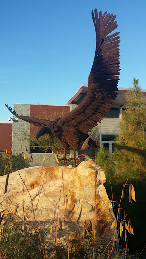 Metal Vulture Takes Flight - Chandler, AZ.jpg