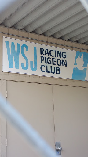 WSJ Racing Pigeon Club - San Jose, CA.jpg