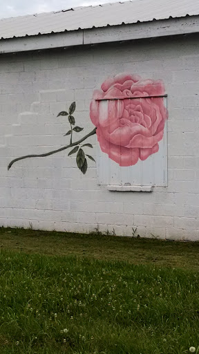 Filerose District Rose Mural Broken Arrow Ok Pokemon Go Wiki 