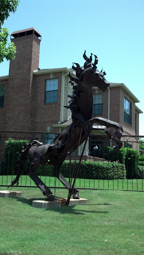 Andalusian Horse 2 - Dallas, TX.jpg