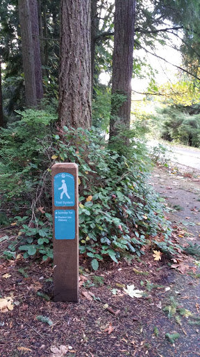 Spiritridge and Phantom Lake Trailhead - Bellevue, WA.jpg