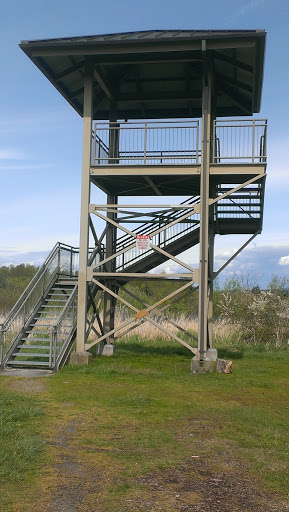 Kent Valley Bird Sancuary 1 - Kent, WA.jpg