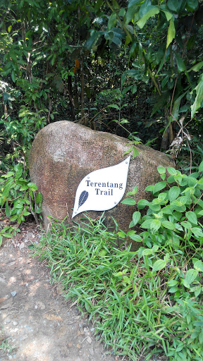 Terentang Trail - Singapore, Singapore.jpg