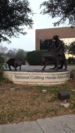 National Cutting Horse Association - Fort Worth, TX.jpg