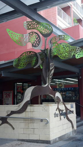 The Fig Tree Kelvin Grove - Kelvin Grove, QLD.jpg