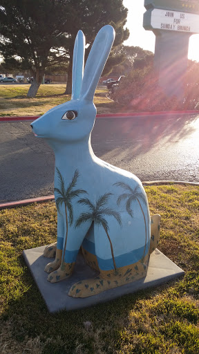 Beach Bunny - Odessa, TX.jpg