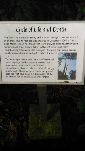 Cycle of Life And Death Board - Singapore, Singapore.jpg
