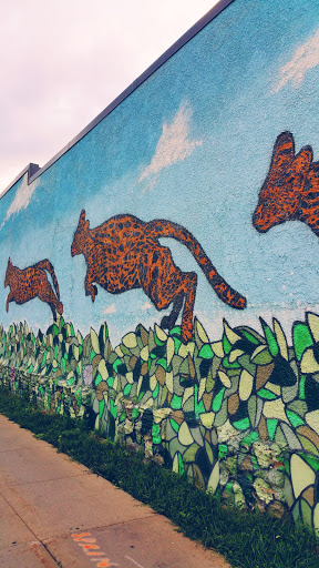 Cedar Station Cheetah Mural - Minneapolis, MN.jpg