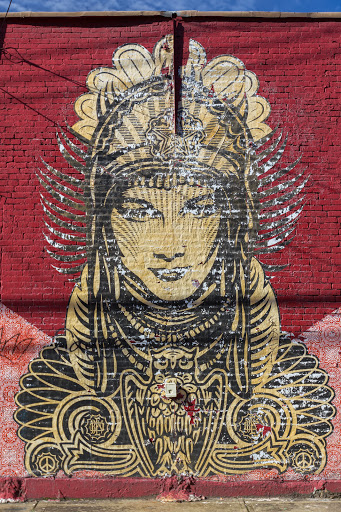 Owl Lady Mural - Pittsburgh, PA.jpg