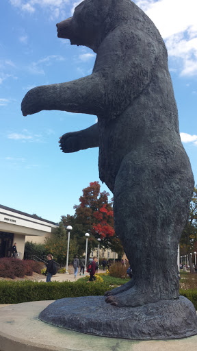 Missouri State Bear - Springfield, MO.jpg