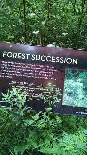 Forest Succession - Dayton, OH.jpg