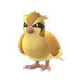 Pidgey.png