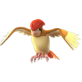 Pidgeotto1.png