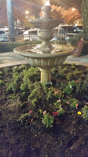 Fountain of Youth - Visalia, CA.jpg