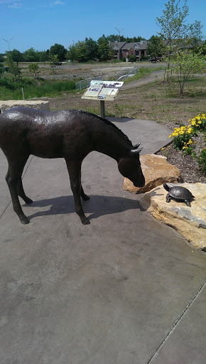 Horse Meets Turtle - Overland Park, KS.jpg