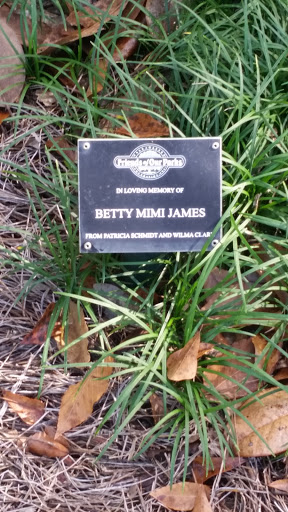 Betty Mimi James Memorial Tree - Tallahassee, FL.jpg