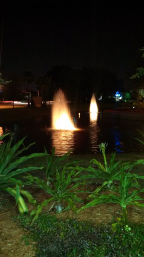 TDB Twin Fountains - Tampa, FL.jpg