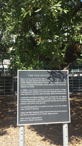 The Old Hanging Oak - Houston, TX.jpg