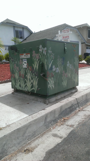 Flower Utility Box - San Diego, CA.jpg