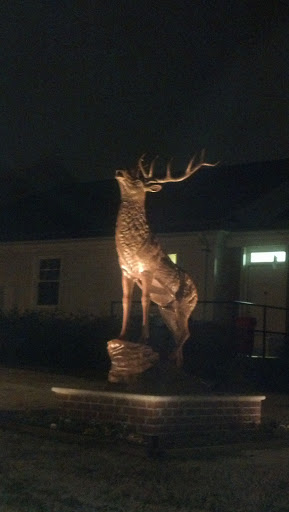 Elk Sculpture - Raleigh, NC.jpg