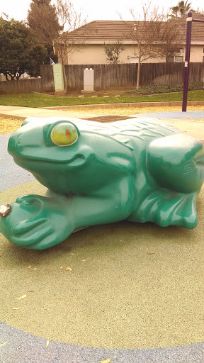Pypers the Frog - Roseville, CA.jpg