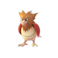 Spearow1.png